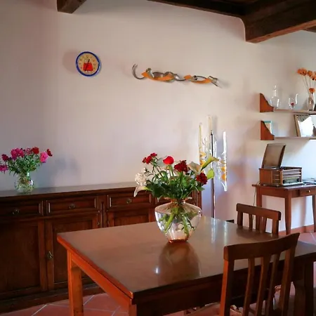 Vulandra: Tipica Casa Ferrarese A 50 Mt Dal Duomo 아파트